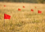 Discover potential obstacles in your design