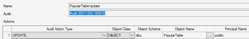 Database audit specification. Update on dbo.PopularTable